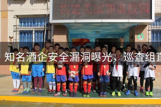 知名酒企安全漏洞曝光，巡查组直指管理失职