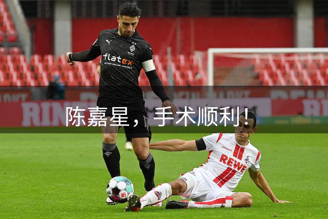 陈嘉星，手术顺利！